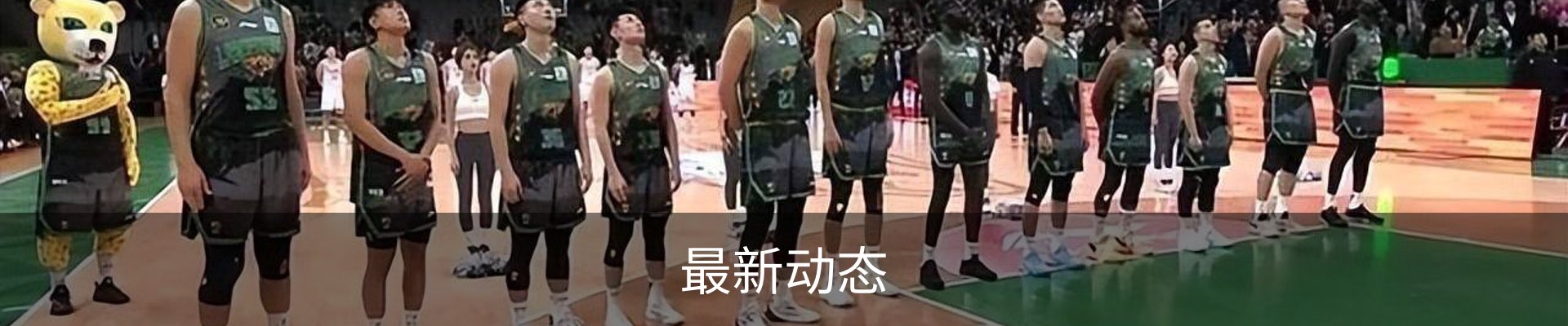 最新动态